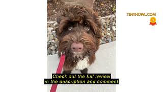 Review PetJoy Dog Bark Collar for Small Medium Large Dog, Barking Collar with Beep &amp; Shock, Smart An