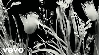 Lady Gaga - Flower Interlude (Live from the Chromatica Ball 2022)