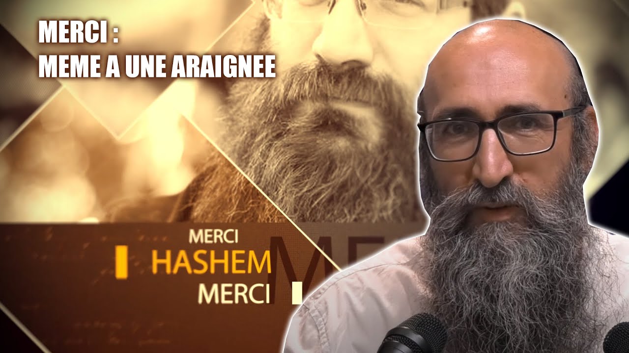 MERCI 2 - Même à une araignée ! Rav Itshak Peretz