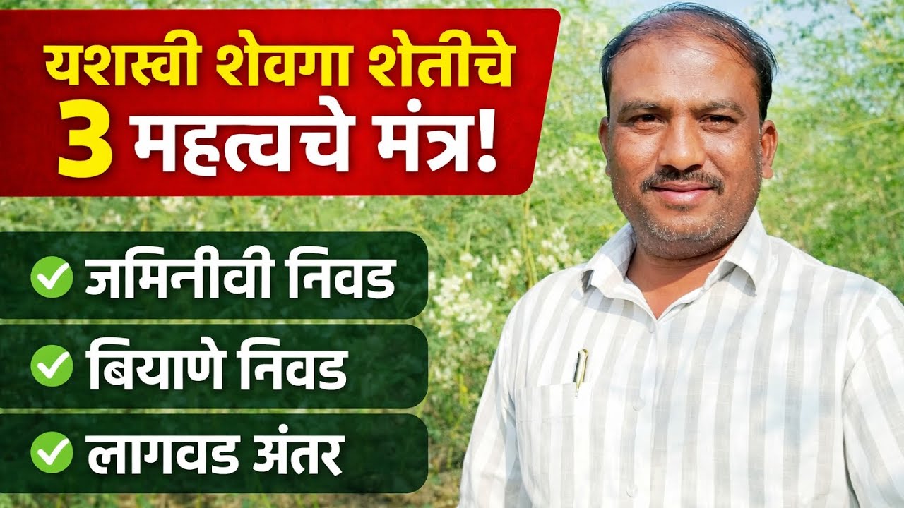 शेवगा शेतीमध्ये यशस्वी होण्यासाठी काय करावे? | #शेवगा_शेती#Shevga#MoringaFarming#शेतकरी#FarmersLife