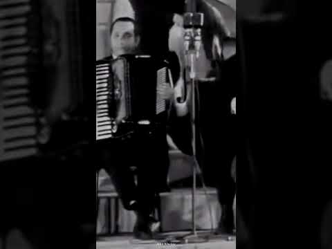 نجاه الصغيره القريب منك بعيد يللي أمر من بعدك لؤاك