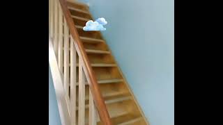 TRAP. #klussen #paintings #grappig #lachen #zotheid #makeawish #typetjes #zingen #stairs #stairway