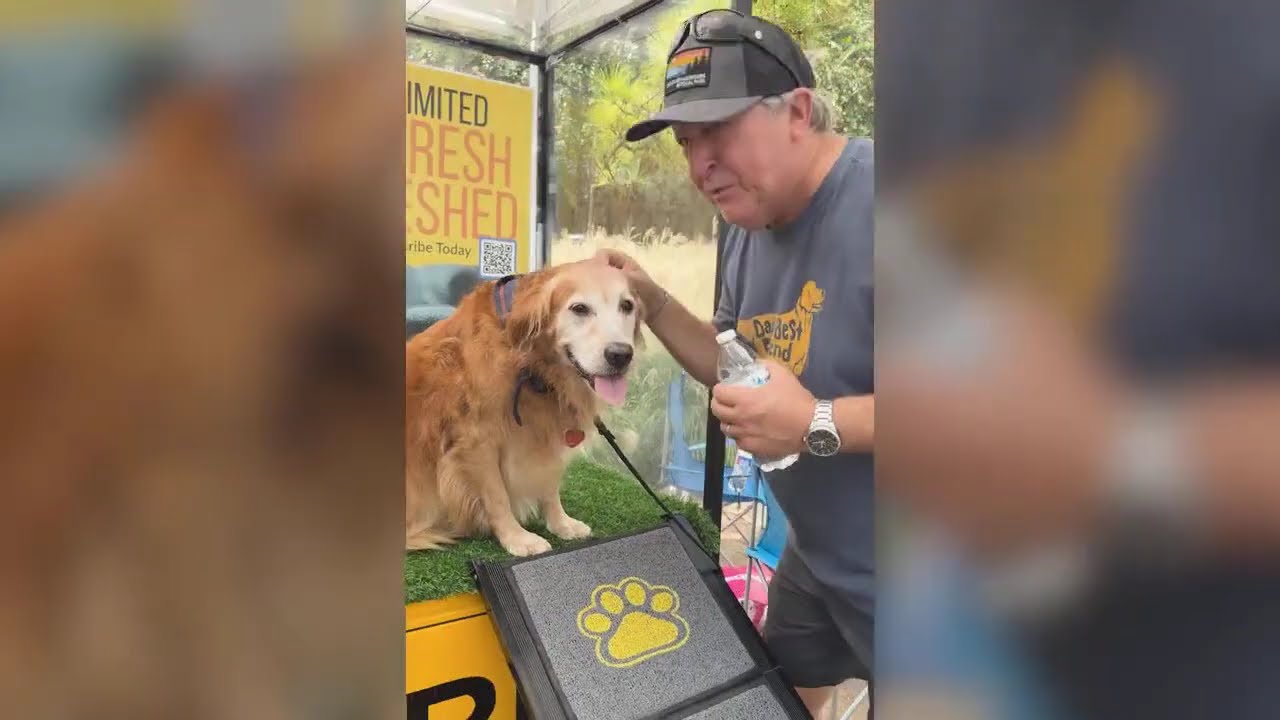 PetScrub : $40 every 10 minutes - Dog Cleaning Station for your Business