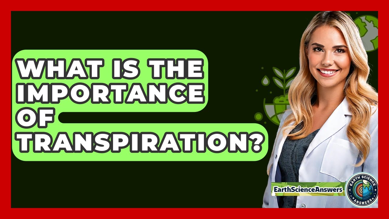 What Is The Importance Of Transpiration? - Earth Science Answers
