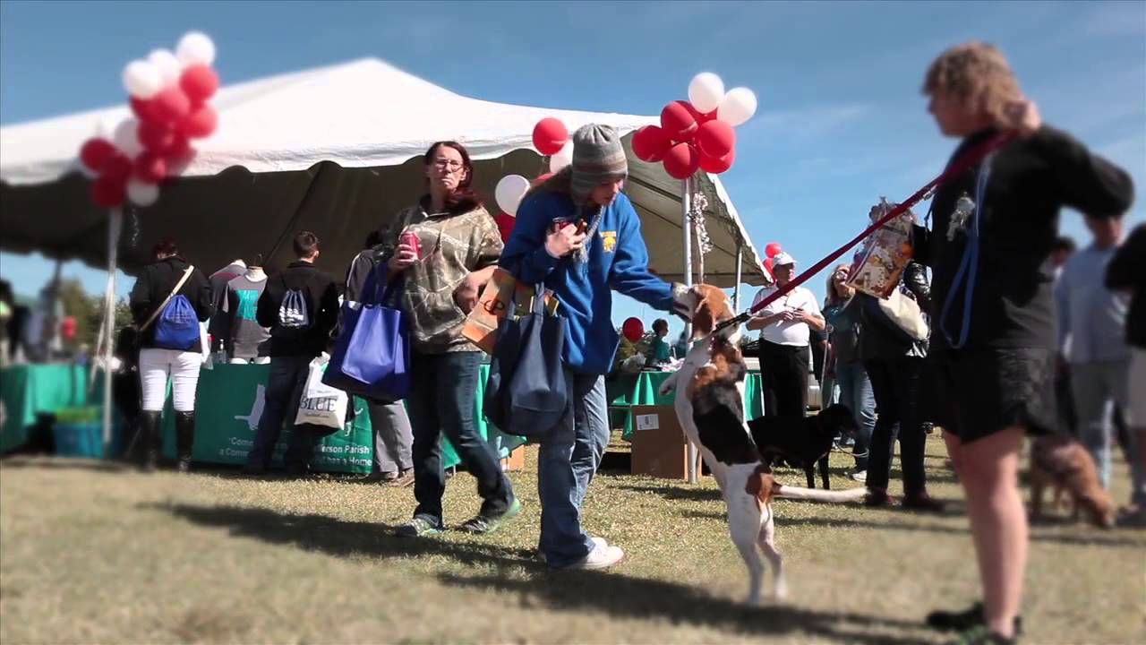 Jefferson SPCA - Pet Fest