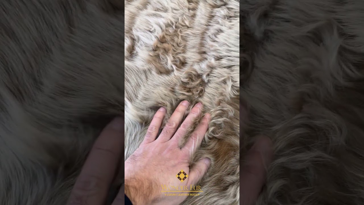 Under the Soft Clouds: The Address of Comfort with Round Sheepskin Rugs! 