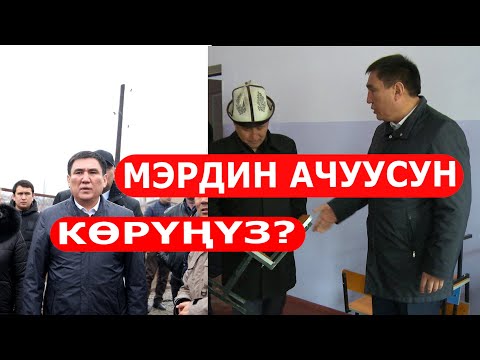 Video: Кичи шаар көргөзмө