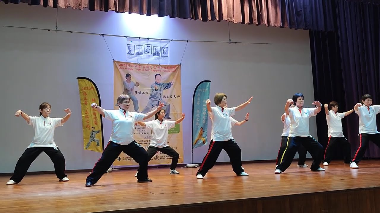 Chen Zheng Lei Training Camp - "Light of Taiji" / 陈正雷太极之光 新加坡站 (7)