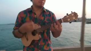 story wa lagu reggae bob marley