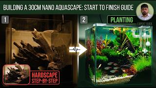 Building a 30cm Nano Aquascape: From Bare Tank to Lush Jungle | Full Build