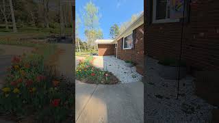 While Hummingbirds Love To Feed Off Nectar In Flowers, Tulips Arent Their Favorite