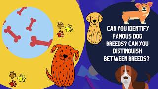 Interactive Dog Quiz