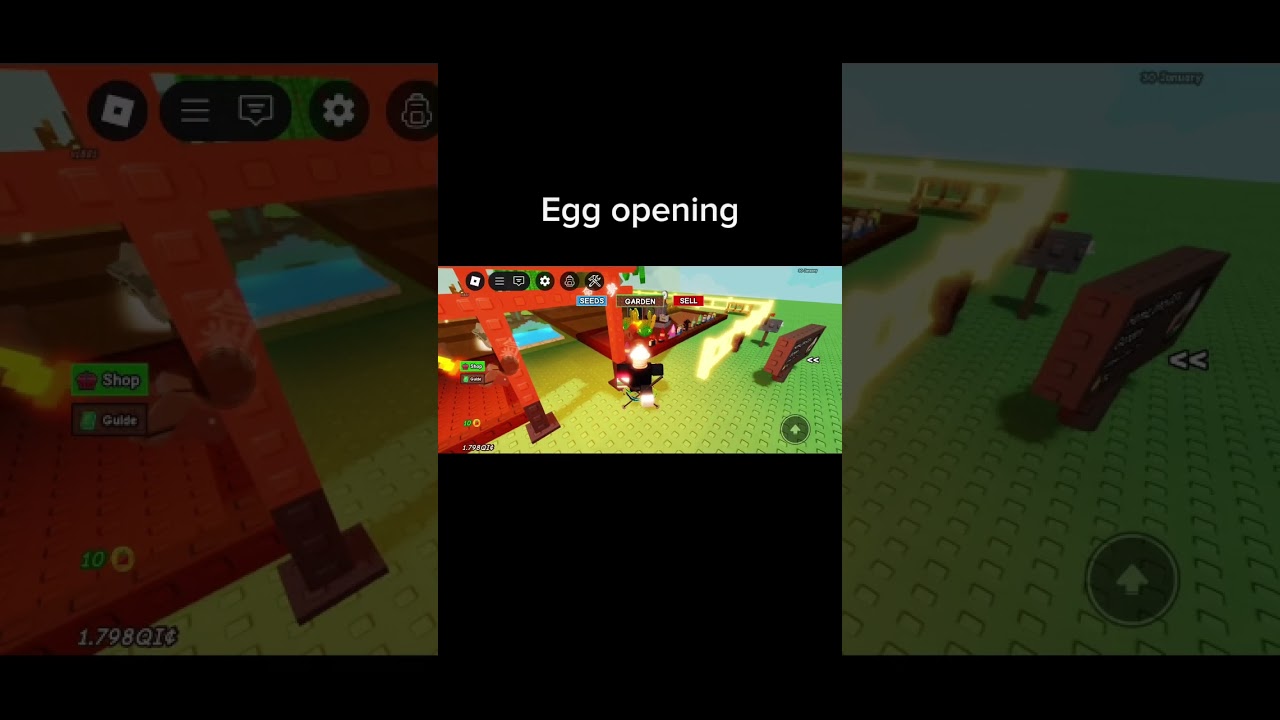 Egg opening 