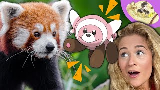 Is Stufful Really A Red Panda Pokemon? Animals That Are Real Life Pokemon