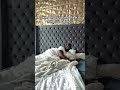 Making my husband think he Slept for 2 whole days.#couple #funny #husband #prank #fyp