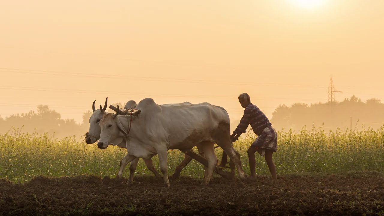 Village Photos | Landscape Photography | Golden Hours Photos | 24-105mm Lens