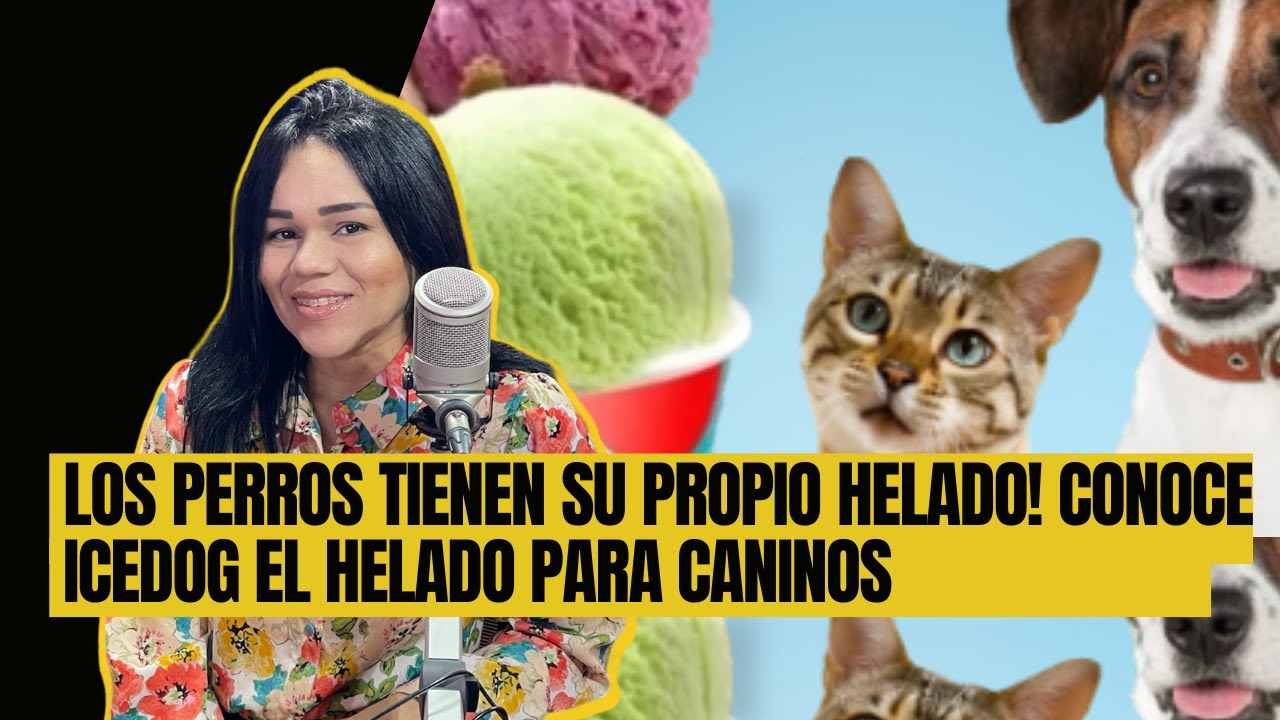 EXISTEN HELADOS PARA PERROS! CONOCE ICEDOG