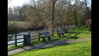 Places To See In Cobham - Uk