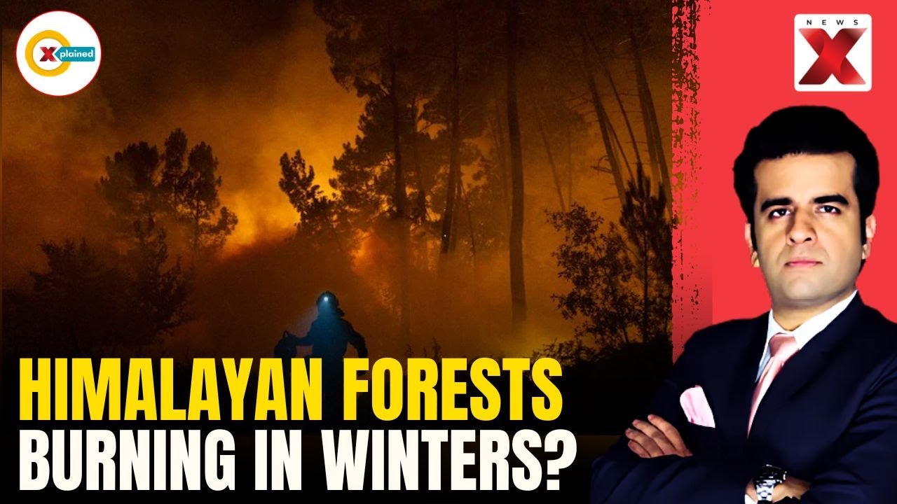 Fire in the Snow: Why the Himalayas are Burning Right Now? | Xplained By NewsX