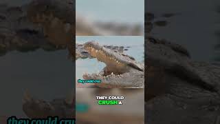Meet Sarcosuchus  The Prehistoric Crocodile Monster #dinosaurs #dinosaur #facts