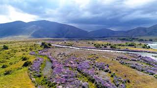 Nz 7 Music By Above And Beyond Satellite