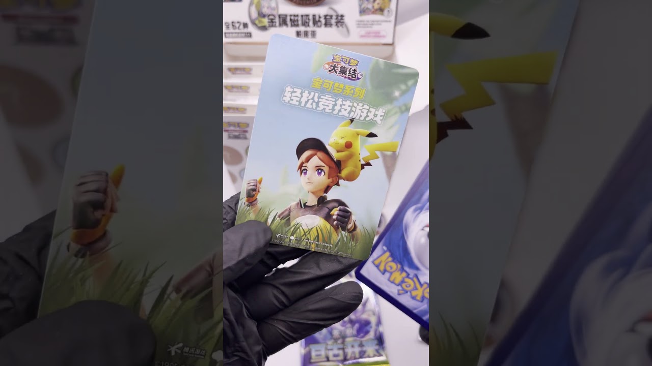 Simplified Chinese Magnetic Coin Set Paldea No.4