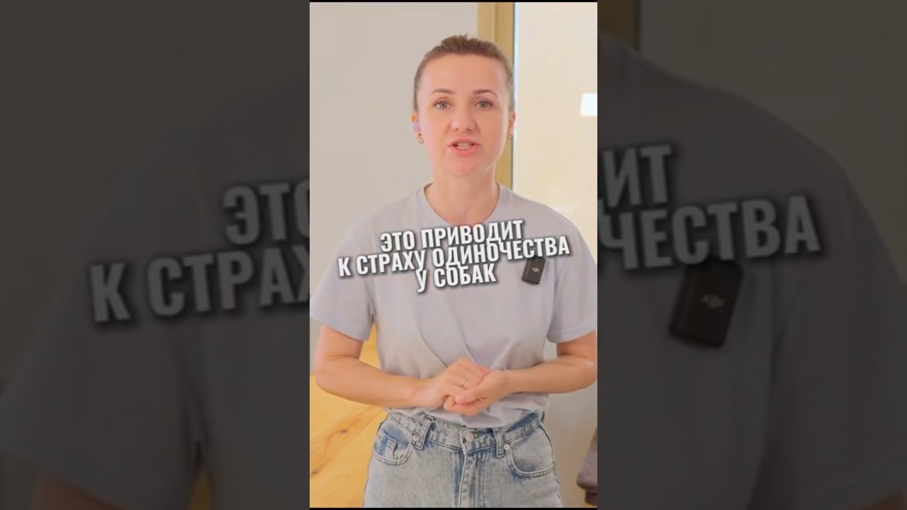 Как оставлять собаку дома одну? 