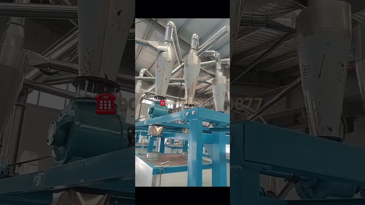 50TPD maize milling machine