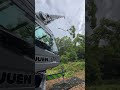 ラフター クスノキ枝取り