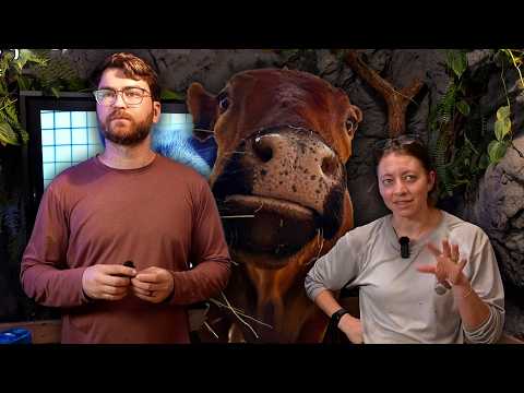 Winnie + Donkeys Vet Visit Recap