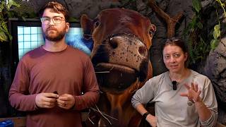Winnie + Donkeys Vet Visit Recap