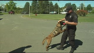 Orange Police Dog Unit gets a new cruiser with donation