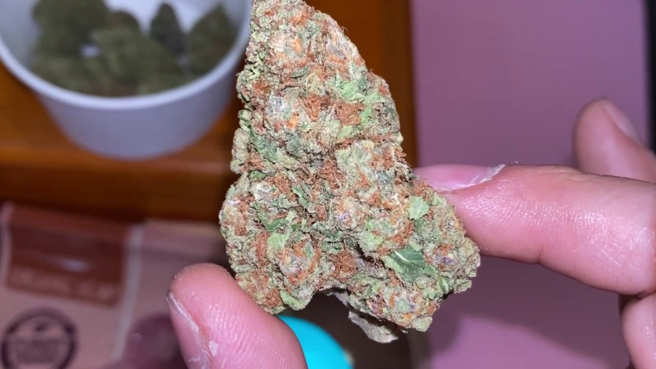 Review y análisis de cepa CANNABIS SATIVA CHOCOLOPE!