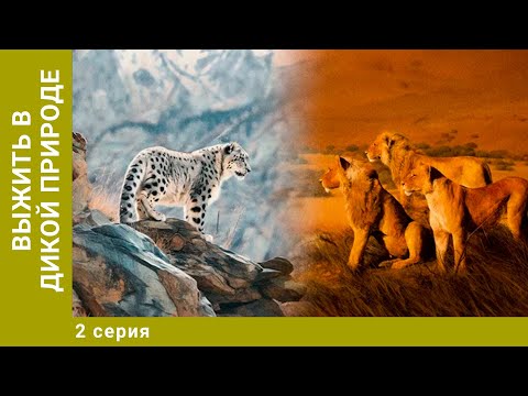 Выжить в дикой природе. 2 Серия. Документальный Проект. Лучшие сериалы