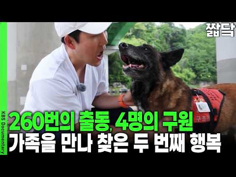 151명의 생명을 구하고 은퇴한 119 구조견, 가족을 만나 찾은 두 번째 행복 | KBS 더 보다 20250629 방송