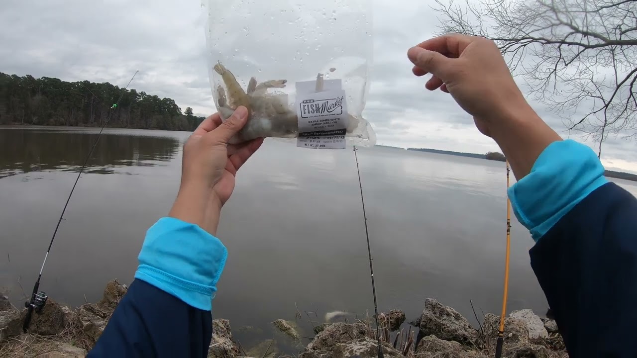 Best Catfish Bait from HEB