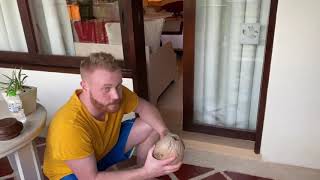 Чебатков как легко открыть кокос