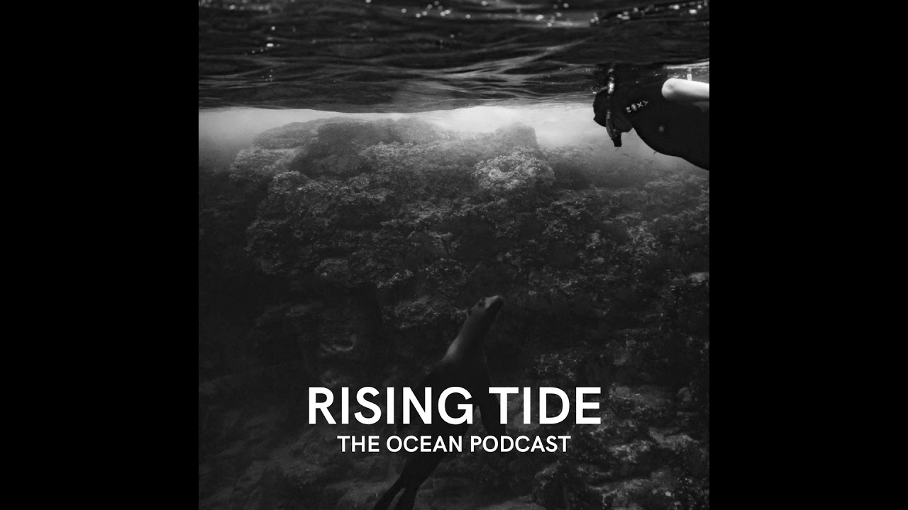 Behind the Glass – Kim McIntyre and the Aquarium Conservation Partnership