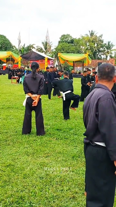 Siswa Tertua Di Lampung Tubaba #pshtindonesia #pshtpusatmadiun #psht