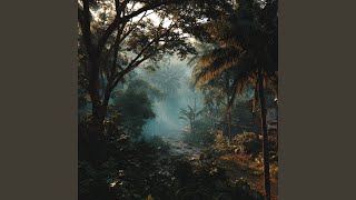 Quiet Path Home