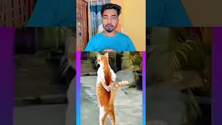 animals funny video || cat funny video || discovery funny video || animal short video 😂😂😂