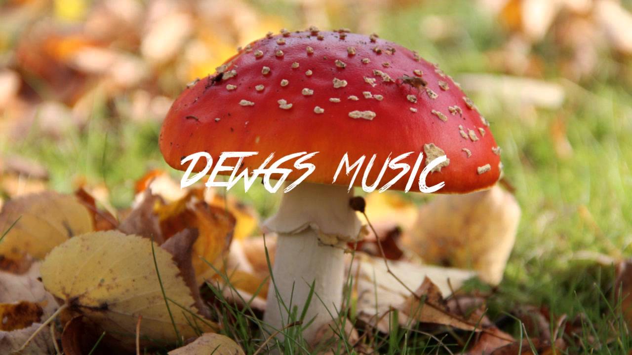 Kings Dead - Kryptonite Sanity House