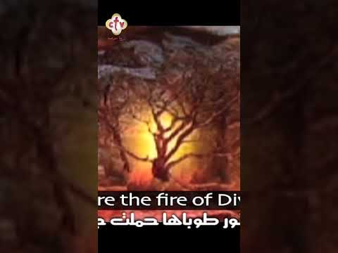 العليقة التي رآها موسى النبي في البرية والنيران تشعل جواها ولم تمسسها بأزية