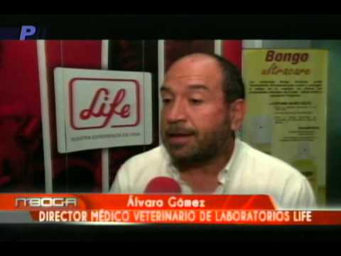 Laboratorio Life presentó dos productos de línea para mascotas
