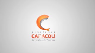 VIDEO INSTITUCIONAL PISCICOLA CARACOLI 2025