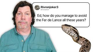 Archaeologist Answers His Viewers' Questions