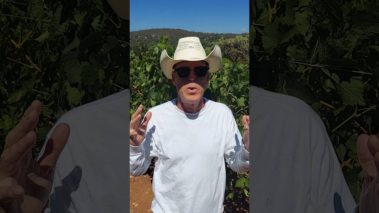 Sweat Tuff Hat Liner, installs in Cowboy Hats, as well as most Hats, and Caps.