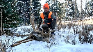 Mule Deer SAGA 1