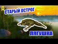 РР4. Старый острог. Лягушка. Пробуем закрыть трофея. Фармим голд наживку.