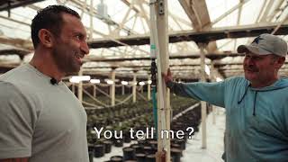 CANNAFORNIA FARMS - AUGUST 26